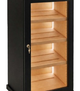 Vitrina Modelo Maestre